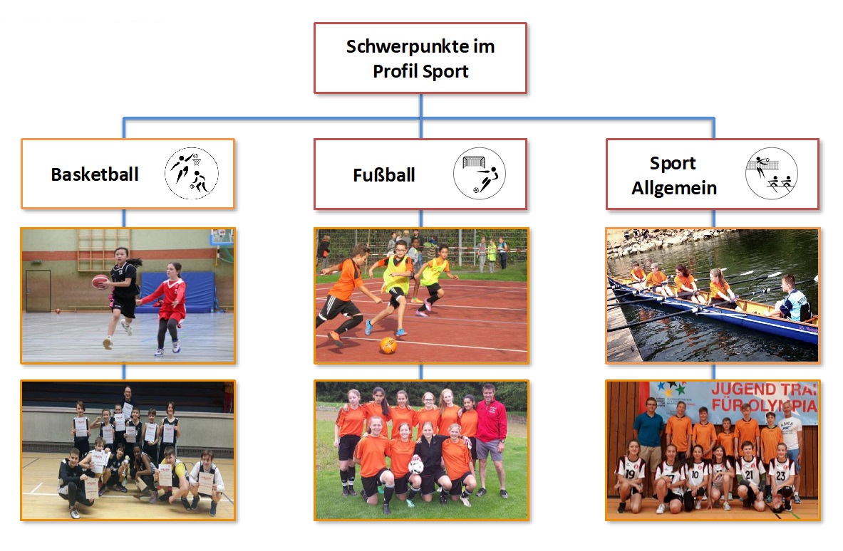 team_angebot