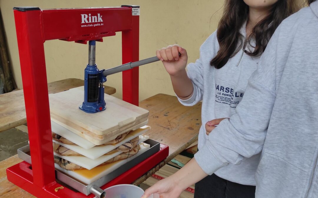 Kooperation mit dem Umweltzentrum Hanau
