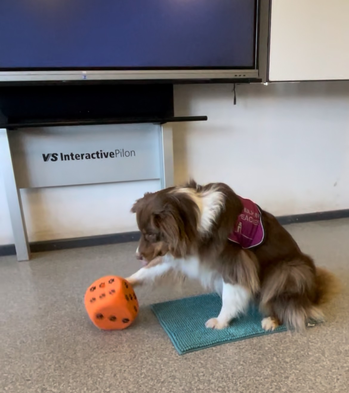 Peaches würfelt die nächste Aufgabe.