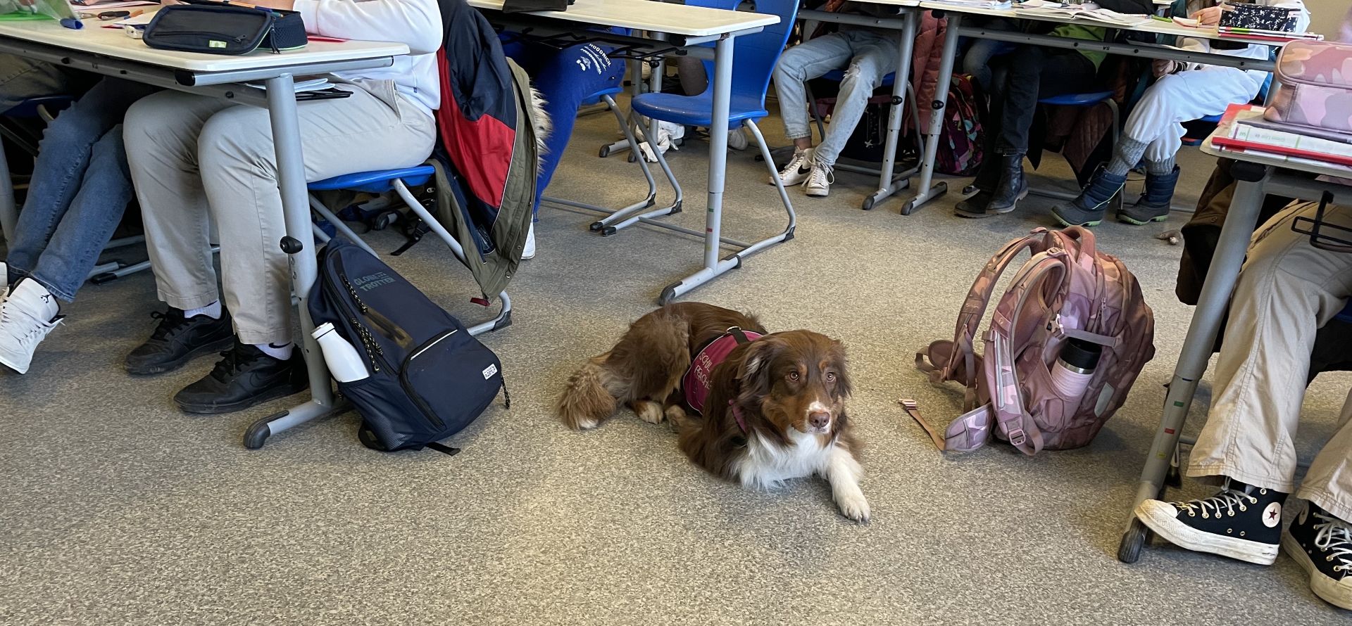 Peaches bringt Ruhe und Entspannung 