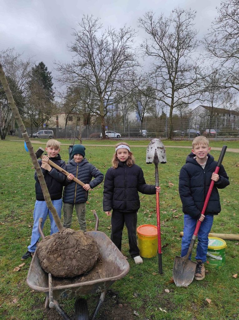 Foto: Schülerinnen und Schüler der Klasse 6A pflanzen den Klassen-Apfelbaum auf dem HOLA-Campus.